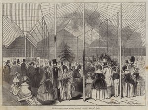 温室、王立植物協会の庭園、リージェンツパーク 作： Frederick Shepherd